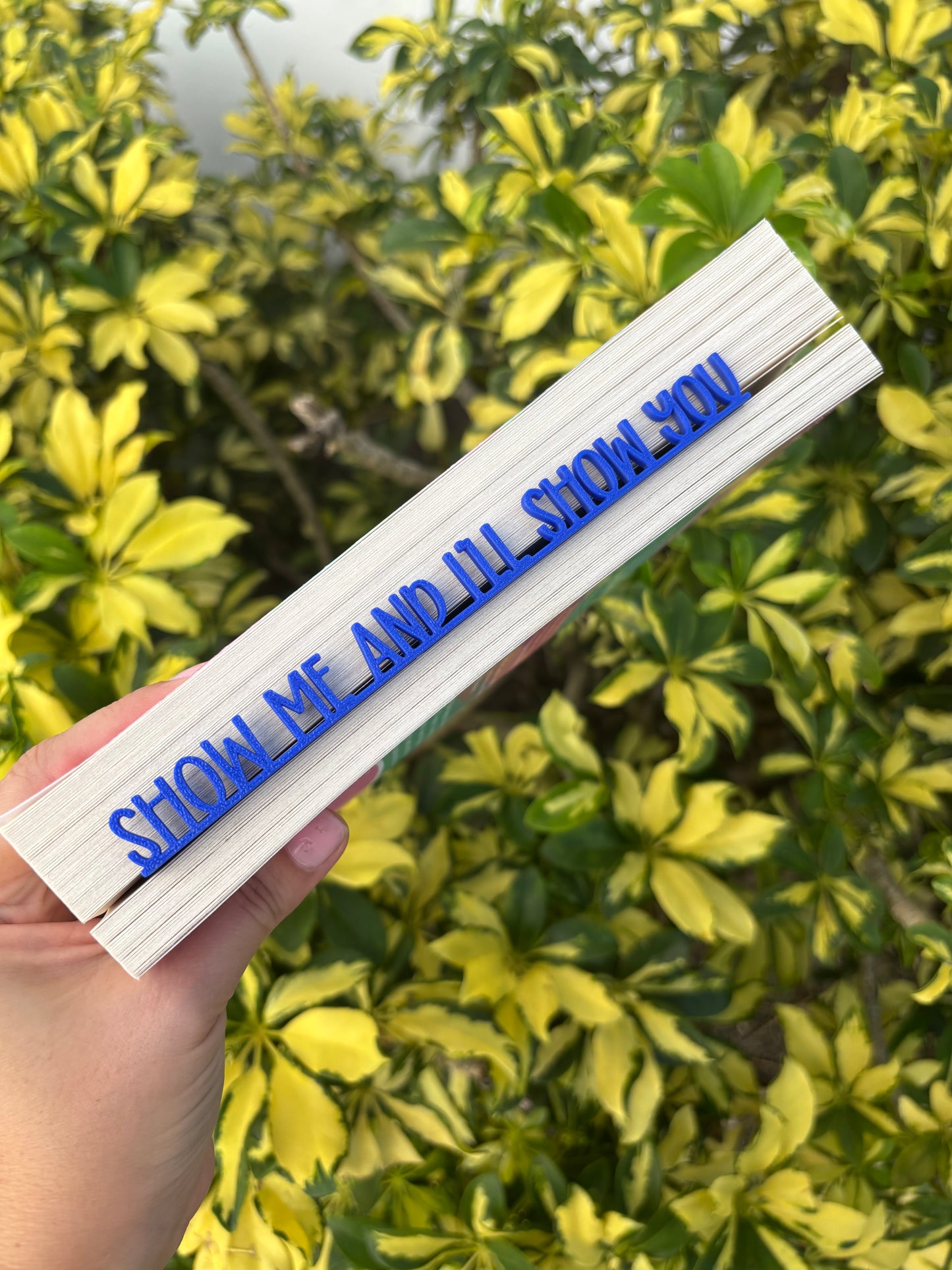 Show me 3D bookmark