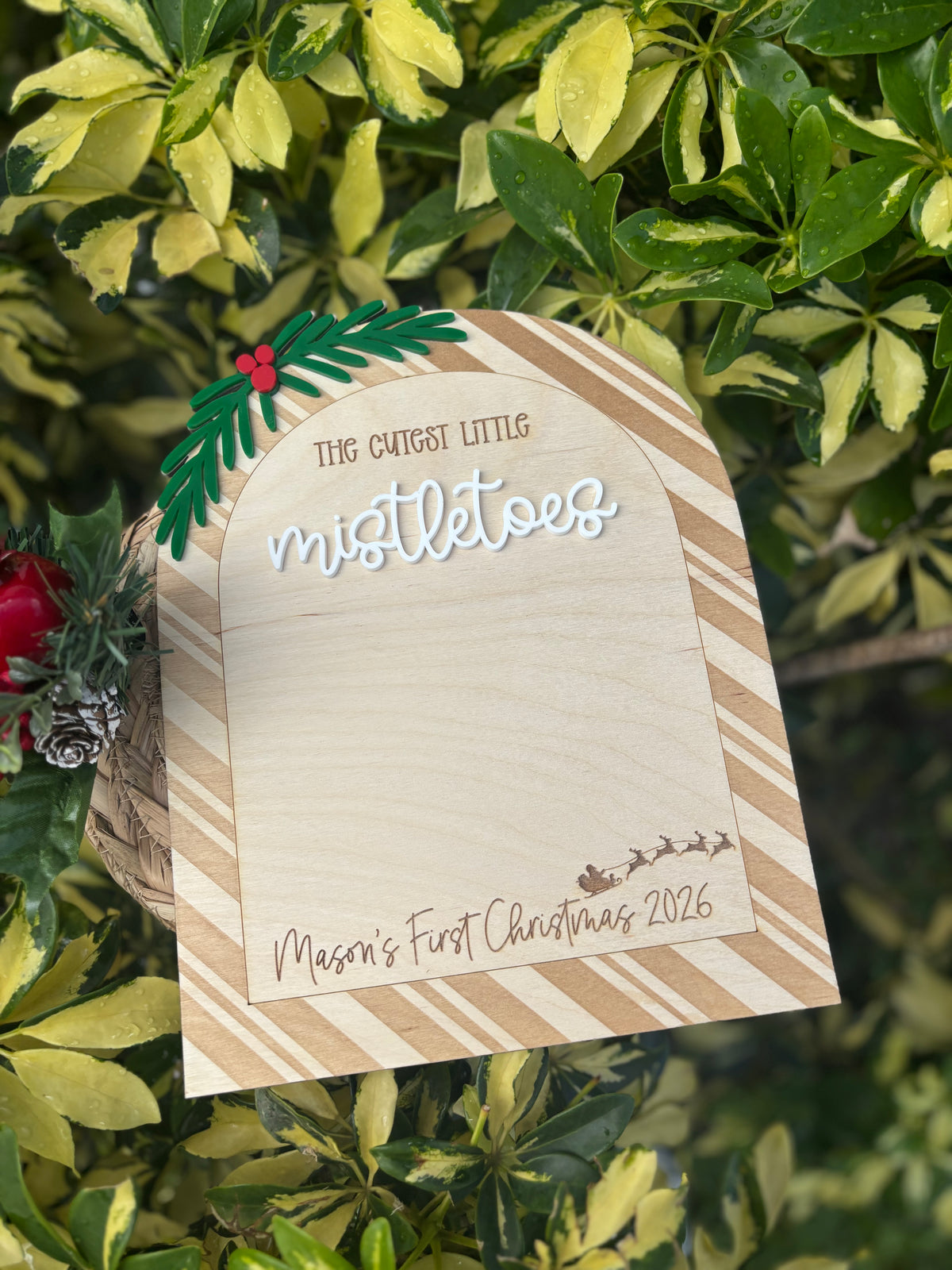 Mistletoes keepsake - My first Christmas