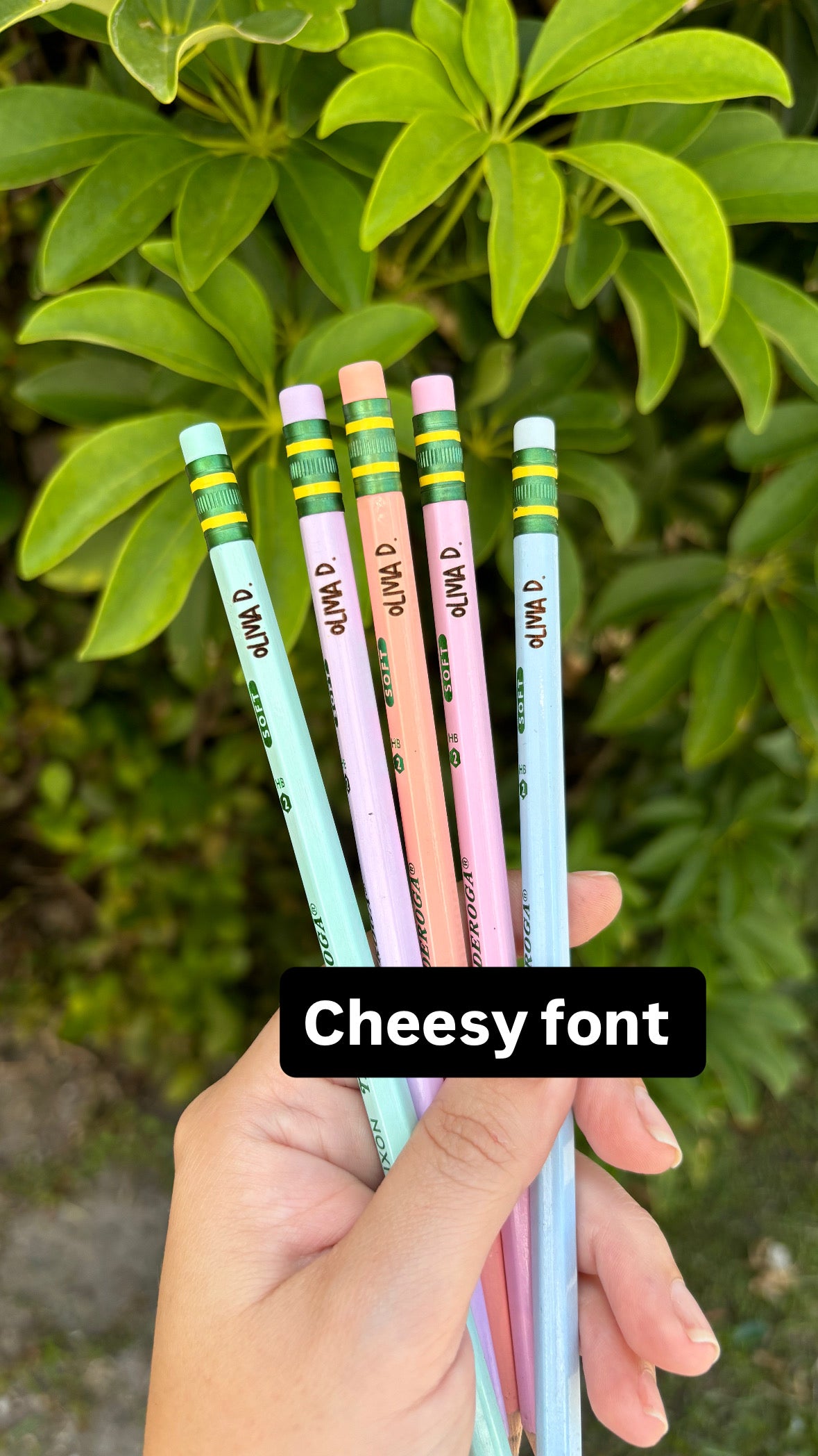 Personalized Pastel Ticonderoga pencils