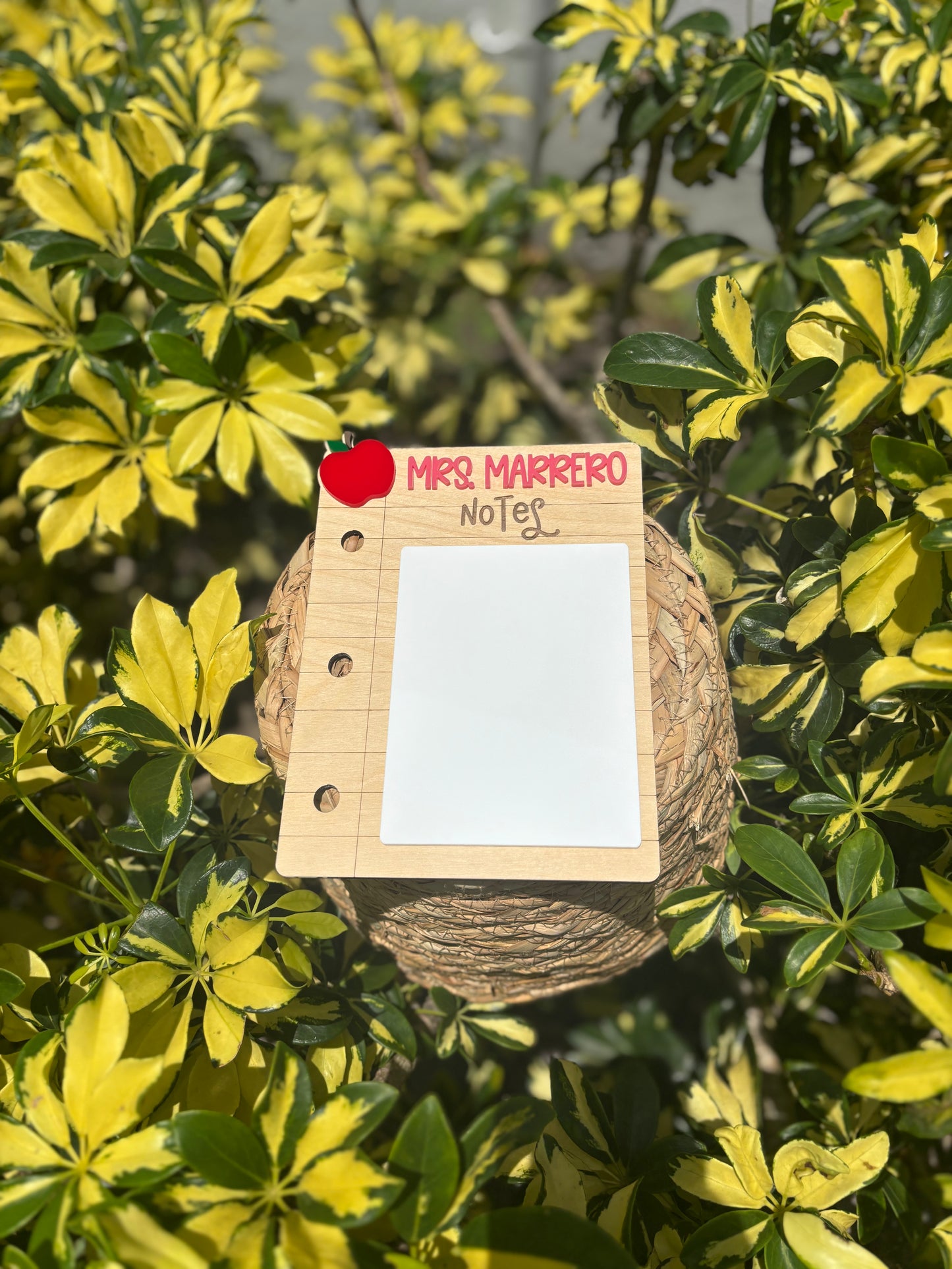 Teacher dry erase notepad