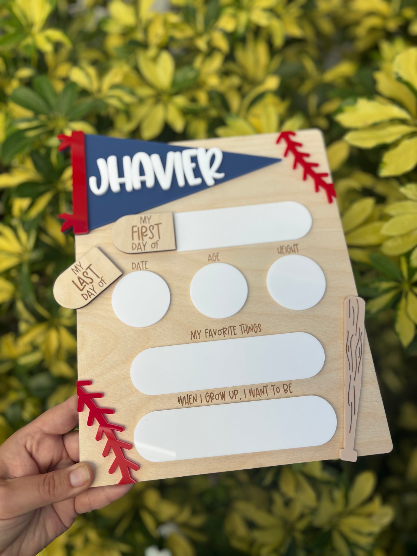 Baseball interchangeable board
