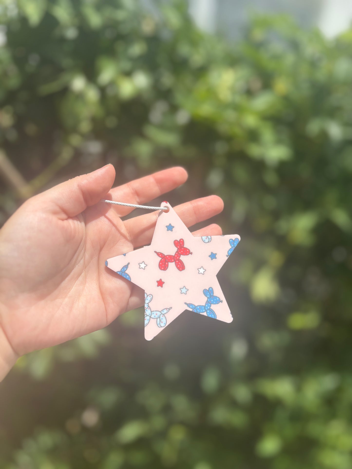 Fourth of July star tags