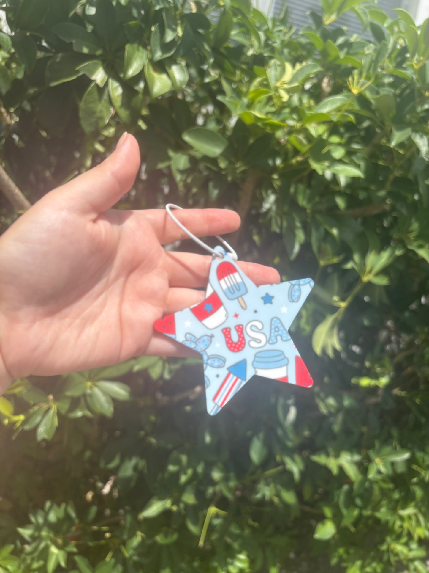 Fourth of July star tags