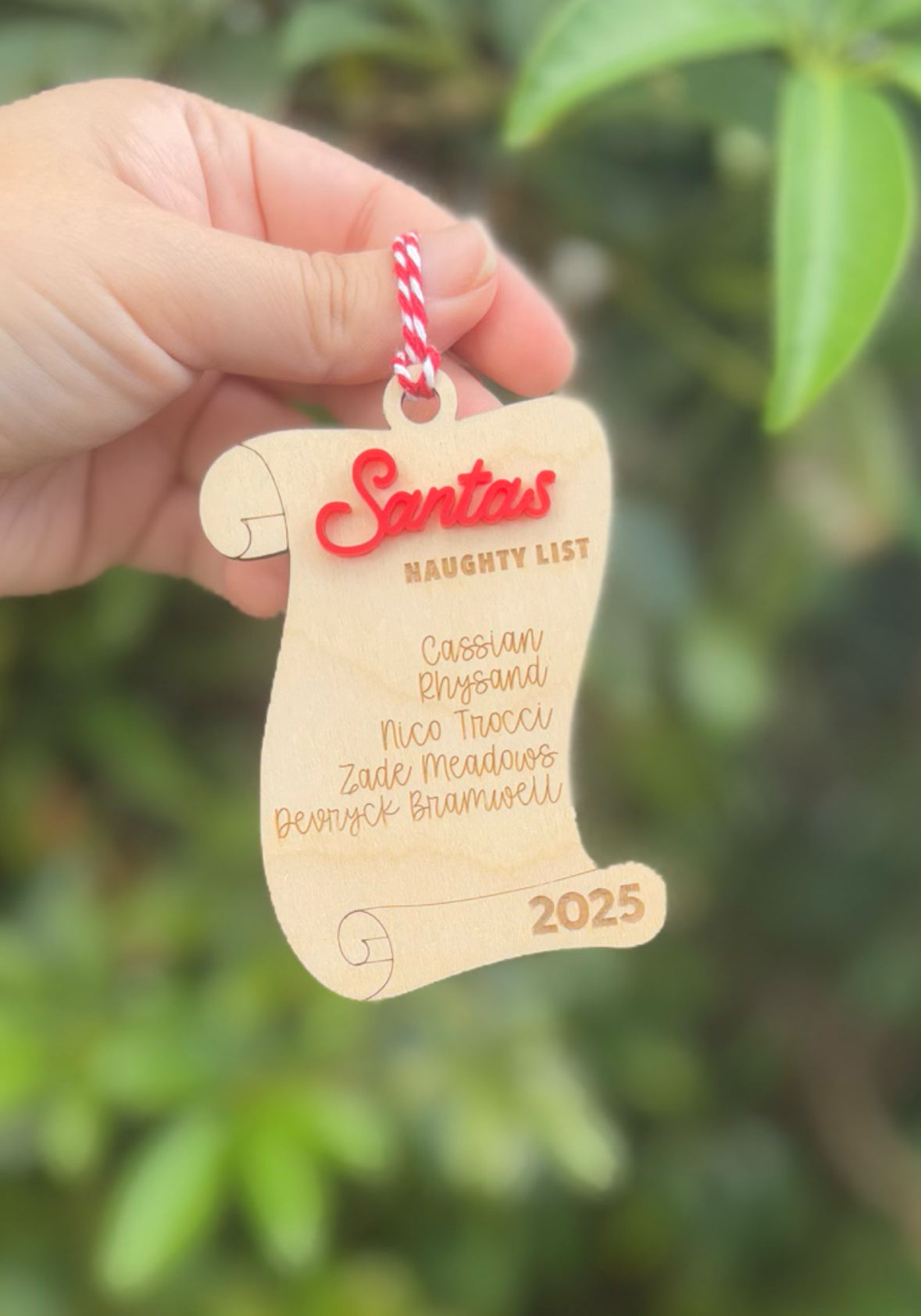 Book boyfriend scroll ornament