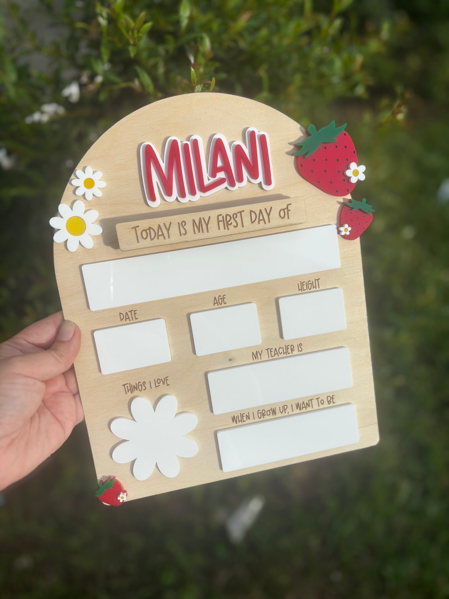 Strawberry Back to School Photo Prop