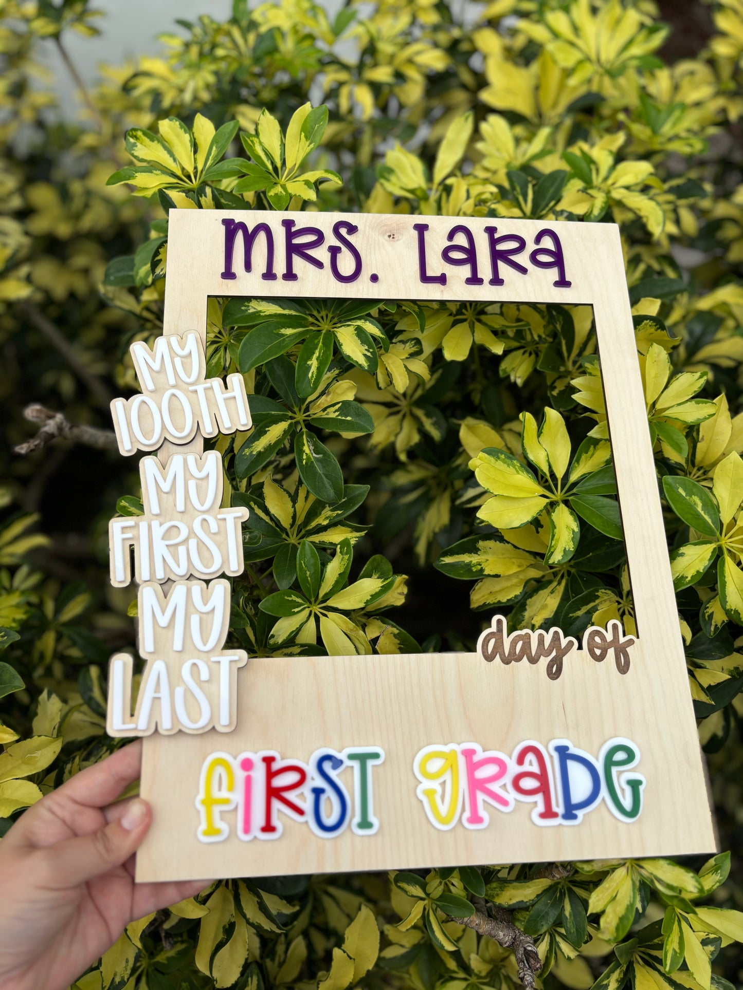 Teacher selfie frame