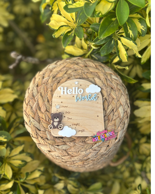 Teddy bear hello world sign
