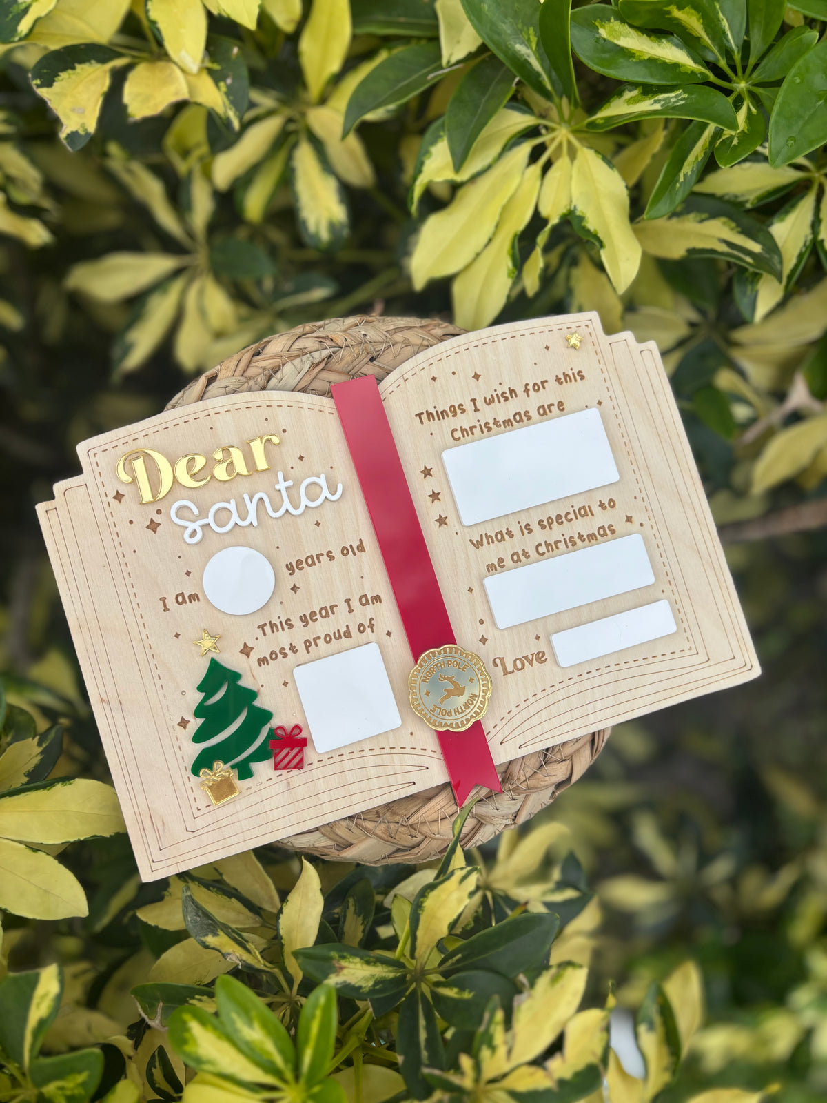 Dear Santa Letter - Dry erase