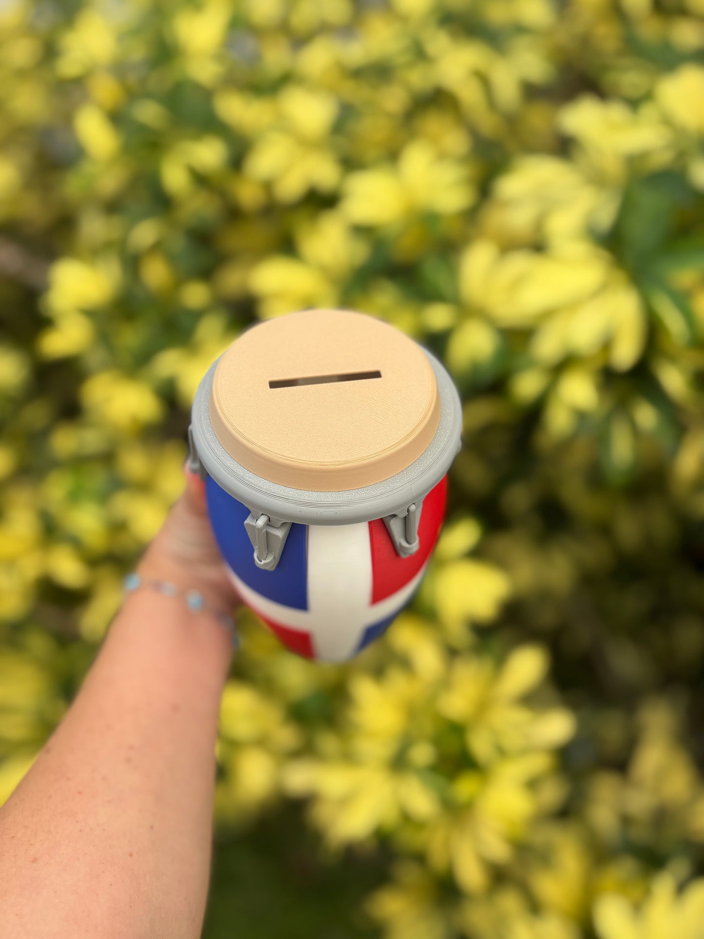 Dominican Flag piggy bank